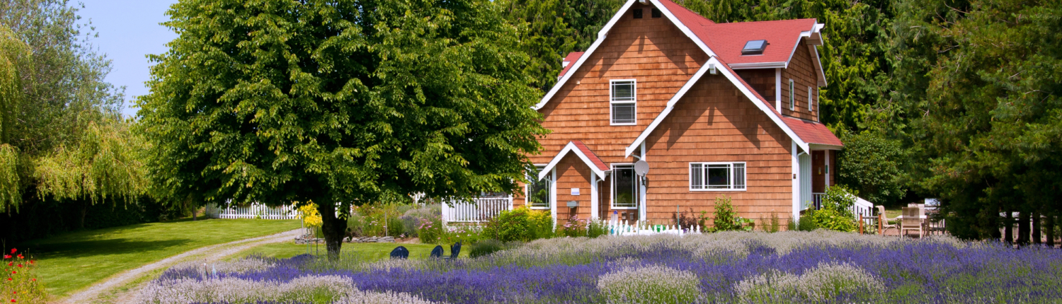 inspection services in Westcliffe, CO